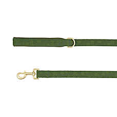 Top Paw? Lace Dog Leash, Walking Dog Leash, Fashion Dog Leash, Multiple Colors, 4' Long