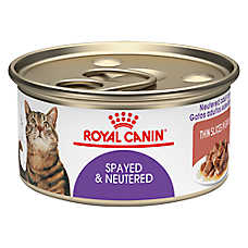 Royal Canin? Feline Health Nutrition Spayed & Neutered Adult Cat Wet Food - Slices in Gravy, 3 Oz