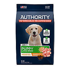 Authority? Everyday Health Large Breed Puppy Dry Dog Food - Chicken & Rice