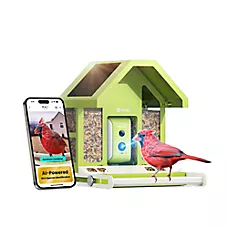 Birdfy Smart Feeder Metal with Lifetime AI Camera