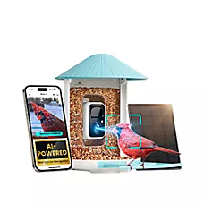 Birdfy Smart Bird Feeder with Solar Panel and Lifetime AI Camera