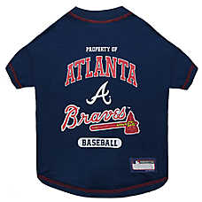 Atlanta Braves MLB Team Tee