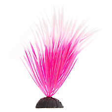 Top Fin? Artificial Spikey Aquarium Plant - Fish Tank Plant Decor - 4.5 in