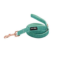 Sassy Woof Wag Your Teal Dog Leash: 5-ft long