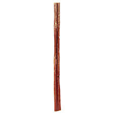 Dentley's? Nature's Chews 12" Odor Free Bully Stick Dog Chew - 1 Count