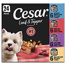 Cesar? Loaf & Topper in Sauce Wet Dog Food Chicken, Beef, & Pork Variety Pack, 24 Count