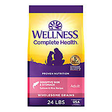 Wellness Complete Health Sensitive Skin & Stomach Adult Dry Dog Food - Salmon & Rice