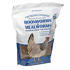 Pecking Order Boonworms & Mealworms - Chicken & Poultry Feed