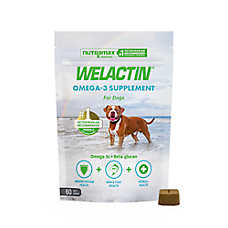 Nutramax Dog Welactin Omega-3 Soft Chews with Beta-Glucan for Skin & Coat Health - 60 ct