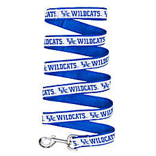 University of Kentucky Wildcat NCAA Leash