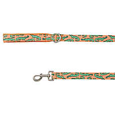 Top Paw? Alligator Dog Leash, Orange Dog Leash, Walking Dog Leash, 4' Long