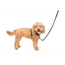 PetSafe? 3 in 1 Harness