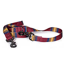 Pendleton Zion National Park Adventure Dog Leash; 6-ft long