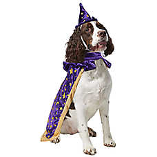Rubies Pet Shop, Wizard Costume