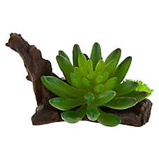 Top Fin? Aloe with Wood Aquarium Ornament
