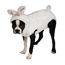 Rubie's Pet Shop Bunny Dog Costume