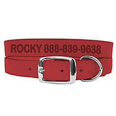 Coastal Pet Products Personalized Leather Dog Collar