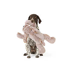 Thrills & Chills&trade; Halloween Plush XL Dog Dog Toy
