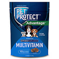 Pet Protect Dog Daily Multivitamin Soft Chew Supplement, DVM Daily, Chicken Flavor Soft Chews, 60 ct