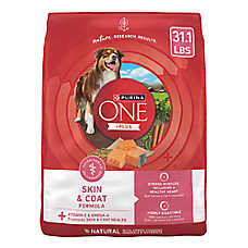 Purina ONE +Plus Skin & Coat Dry Dog Food - Natural, Salmon