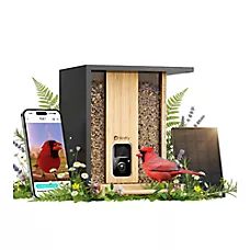 Birdfy Bamboo Smart Bird Feeder with Solar Panel AI Camera
