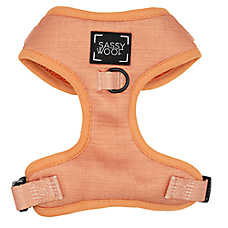 Sassy Woof Apple Cider Dog Harness