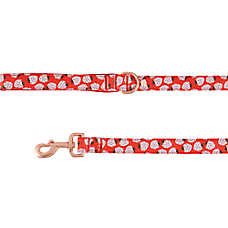 Top Paw? Strawberry Dog Leash, Red Dog Leash, Walking Dog Leash, Neoprene Handle, 4' Long