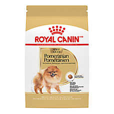 Royal Canin Breed Health Nutrition Pomeranian Adult Dog Dry Food