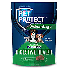 Pet Protect Dog Digestive Health Lactoquil Soft Chews, Gastrointestinal Health, Chicken Flavor, 60ct