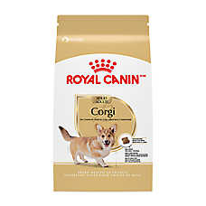 Royal Canin Breed Health Nutrition Corgi Adult Dry Dog Food