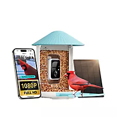 Birdfy Smart Feeder Solar Powered AI Camera Outdoor Feeder