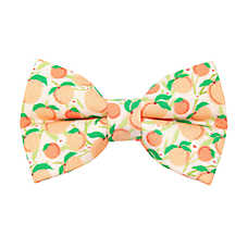 Made By Cleo? Just Peachy Summer Peach Cat Bow Tie