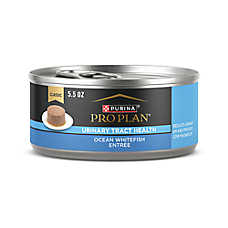 Purina Pro Plan Urinary Tract Health Adult Wet Cat Food - Classic, 5.5 Oz