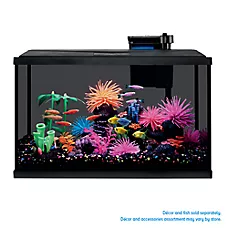 Top Fin® LED Black Glass Aquarium - Fish Tank Aquarium - 3-10 Gallon