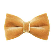 Made By Cleo? Velvet  Caramel Gold Cat Bow Tie