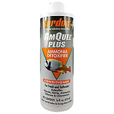 Kordon? Amquel Plus Ammonia Detoxifier