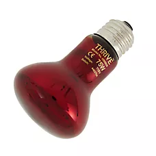 Thrive Nocturnal Infrared Spot Bulb - Infrared Heat Bulb - 50-150W