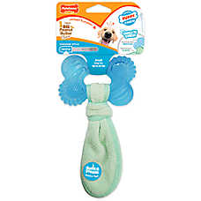 Nylabone? Puppy Teething Freezer Chew Dog Toy, Peanut Butter Flavor