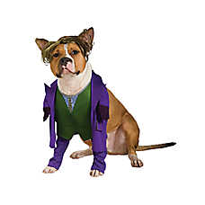 Rubie's Pet Shop Halloween The Joker Dog & Cat Costume