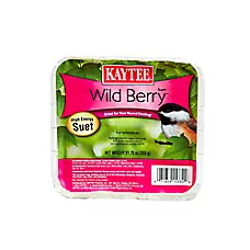 KAYTEE® Wild Berry&trade; Wild Bird Suet Bird Food Berry Suet Cake