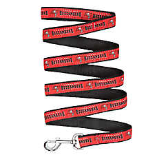 Tampa Bay Buccaneers NFL Dog Leash
