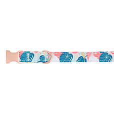 Top Paw? Tropical Leaves Dog Collar, Pink & Green Dog Collar, Adjustable, Multiple Sizes
