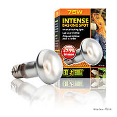 Exo Terra? Intense Basking Spot Light Reptile Basking Heat Bulb - 50-150 watt