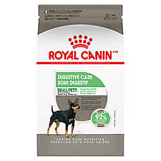 Royal Canin Adult Dry Small Dog Food Canine Care Nutrition, Digestive Care