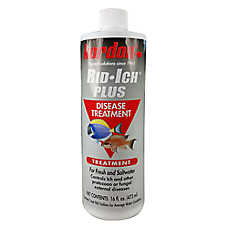 Kordon? Rid Ich Plus Treatment - 16 oz Ick Treatment for Aquarium Fish