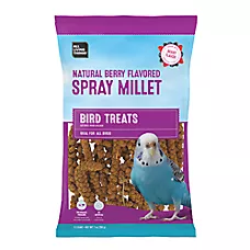 All Living Things® Naturally Berry Flavored Spray Millet Bird Treats - Fruit Flavor Treats - 8oz