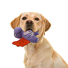 Bite Force Gmason Pterodactyl Squeaker Crinkle Plush Tough Dog Toy