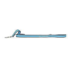 Coastal Pet Products Personalized Pet Attire Pro Reflective Dog Leash: 6-ft long