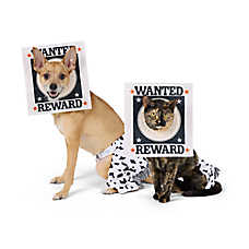 Thrills & Chills? Wanted Sign Dog & Cat Costume