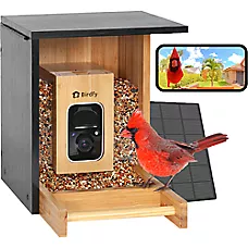 Birdfy Bamboo Smart Feeder Mini